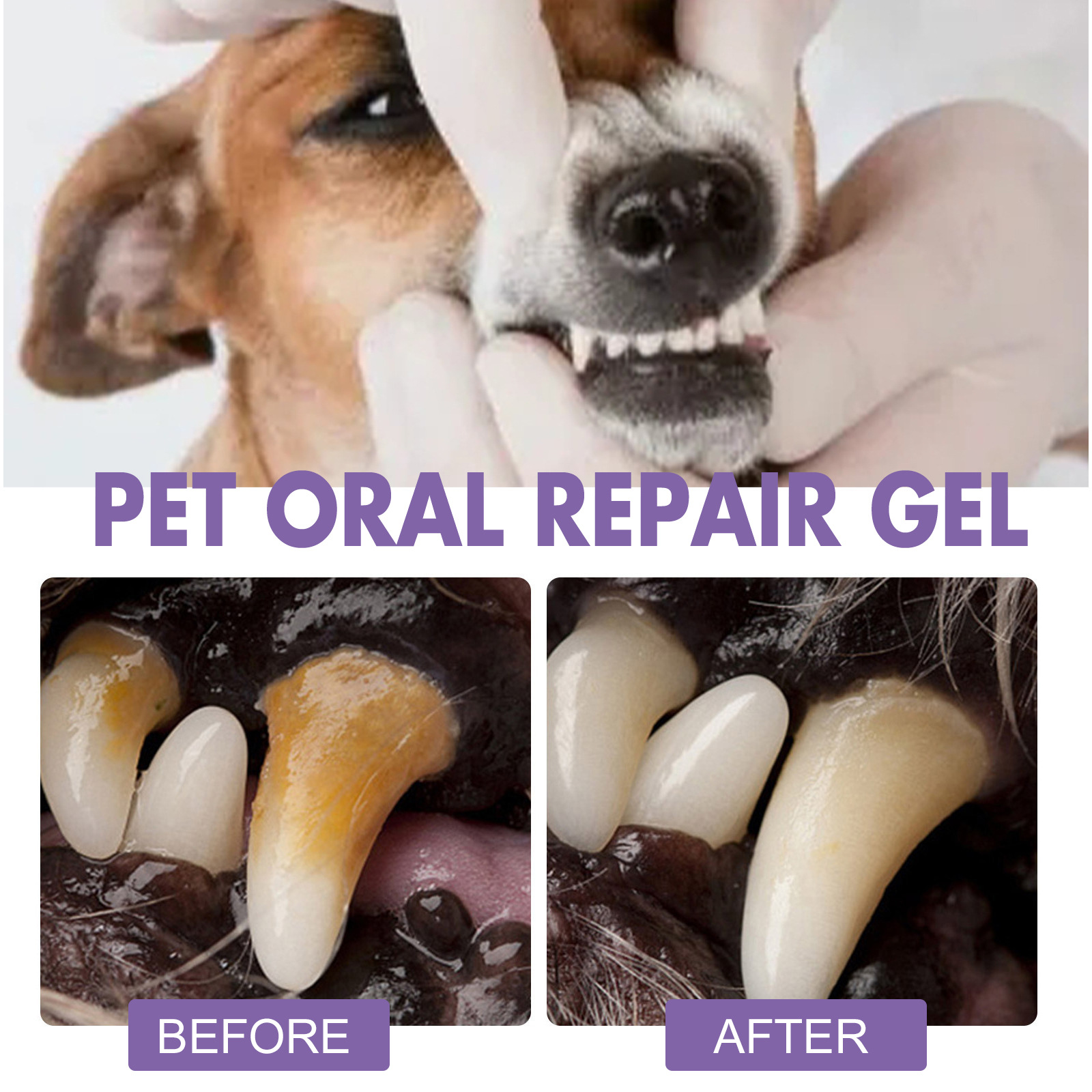 Pet Oral Repair Gel Puppy Tart - огляд і ціна Teeth Whitening Hydrogen Peroxide